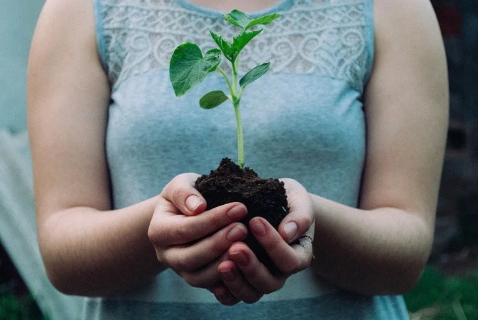 Image of a girl holding a green plant.